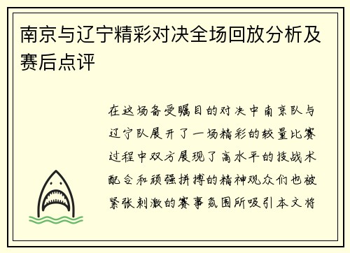 南京与辽宁精彩对决全场回放分析及赛后点评