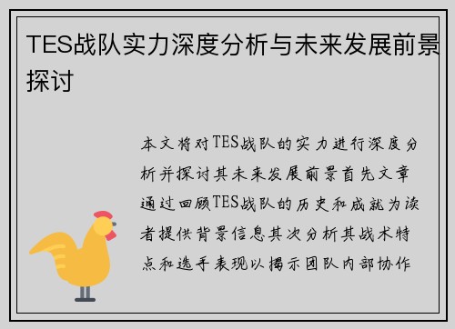 TES战队实力深度分析与未来发展前景探讨